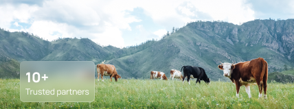 ECOFEED
