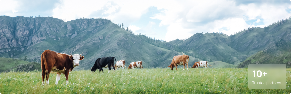 ECOFEED