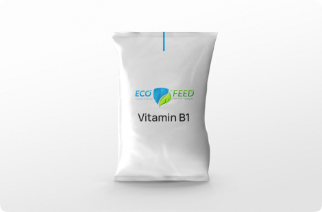 VITAMIN B1